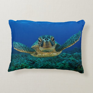 Debajo de la almohada de la tortuga de mar