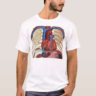 Debajo de la camisa