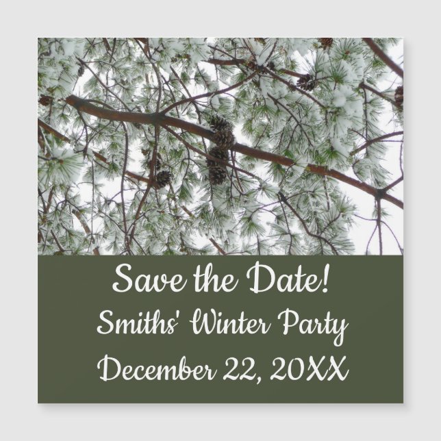 Debajo de la foto del invierno de un pino cubierto (Anverso)