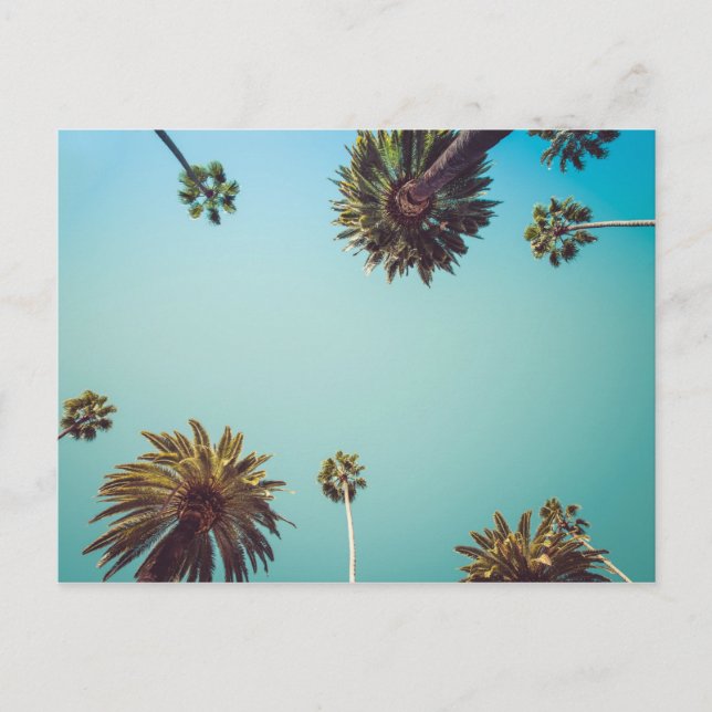 Debajo de las palmas, postal de viaje fotográfico (Anverso)