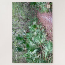 Debajo De Los Frentes - Silenciosos Rompecabezas D