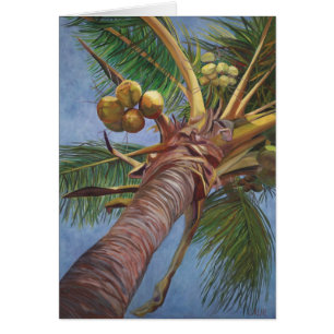 Debajo del árbol de coco