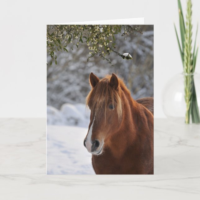 Debajo del muérdago, navidad del caballo (Anverso)