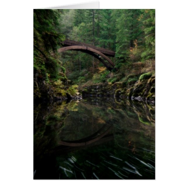 Debajo del puente (Frente)