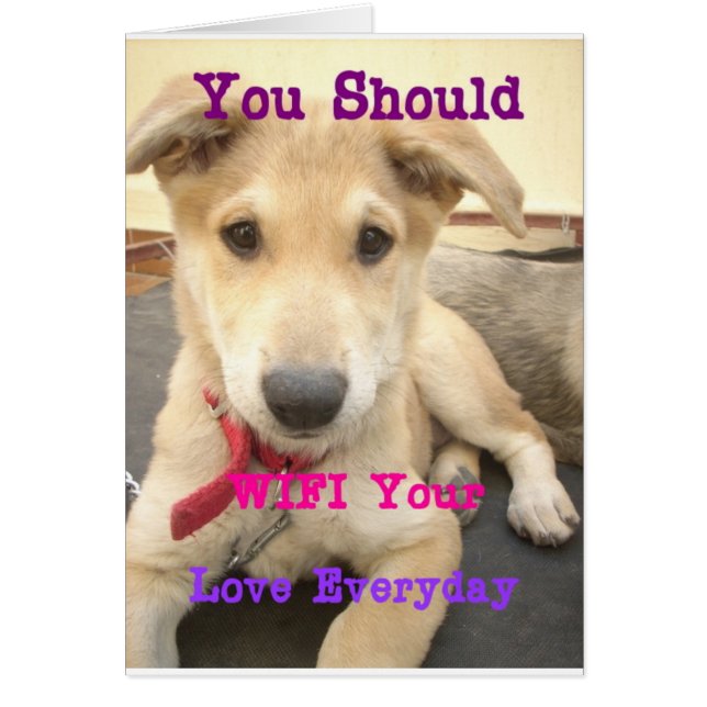 Deberías Despertar Tu Amor A Diario (Frente)