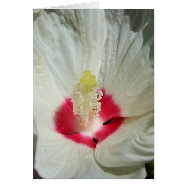 debout del etre (Frente)