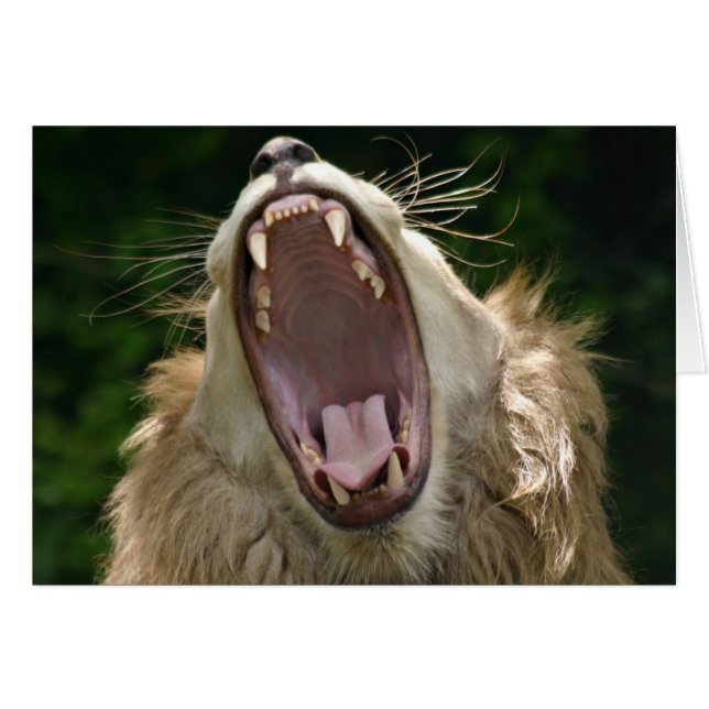 decir ahhh (Anverso (Horizontal))