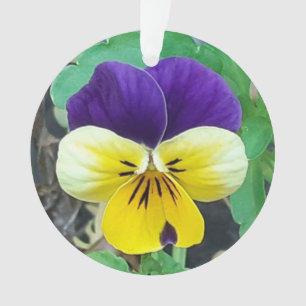 Decoración acrílica púrpura y amarilla