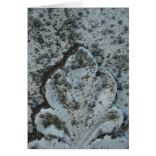 Decoración antigua de la lápida, interior en blanc
