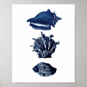 Decoración azul de la Marina de Guerra