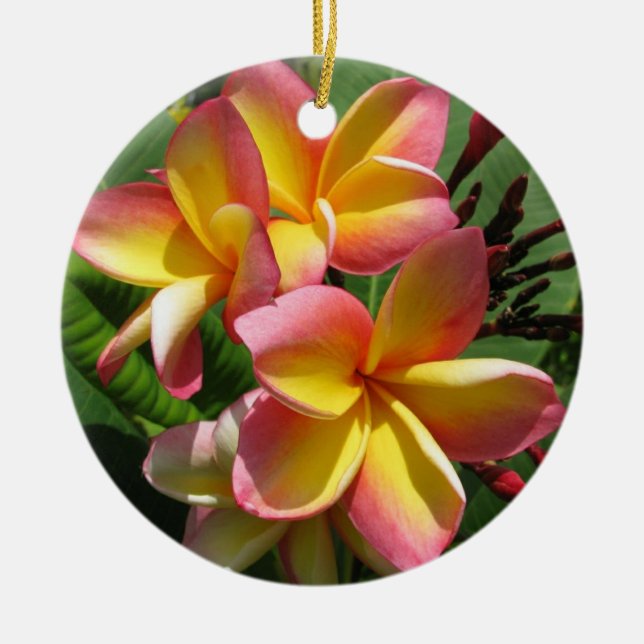 Decoración cerámica frangipani (Frente)