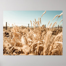 Decoración de arte y paredes > Posters y pinturas