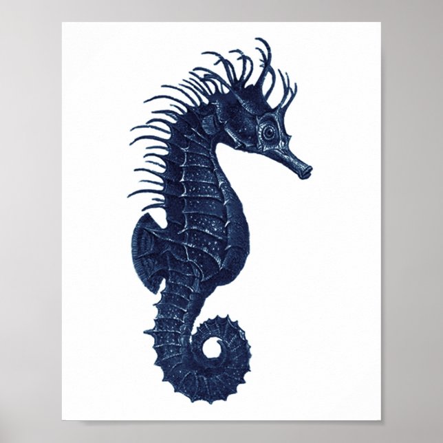 Decoración de caballito de mar azul y blanco en la (Frente)
