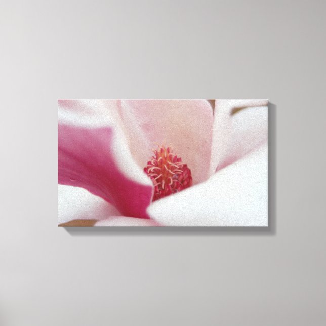 Decoración de canvas de magnolia japonesa (Anverso)