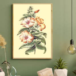 decoración de casa de oficina de Hibisco espléndid