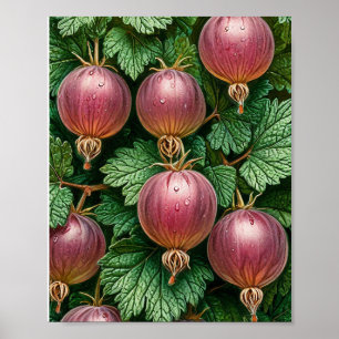 Decoración de cocina rústica con planta de bayas v
