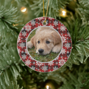 Decoración de foto de mascota editable de árbol de