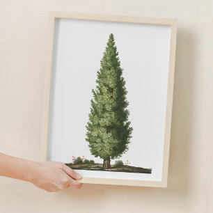 Decoración de guardería de madera de roble natural