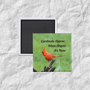 Decoración de imán Aparecen ángeles cardenales cer