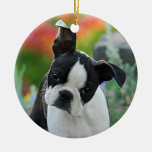 Decoración de la caída del perrito del perro de