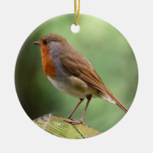 Decoración de la cerámica Robin