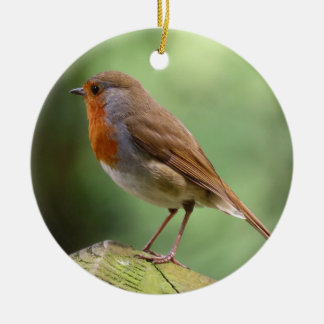 Decoración de la cerámica Robin