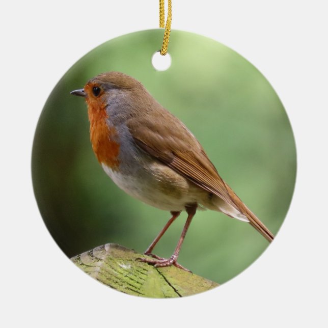 Decoración de la cerámica Robin (Frente)