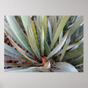 decoración de la naturaleza