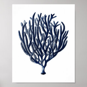 Decoración de la pared de la playa de Coral del Ma
