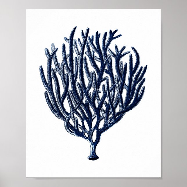 Decoración de la pared de la playa de coral marino (Frente)