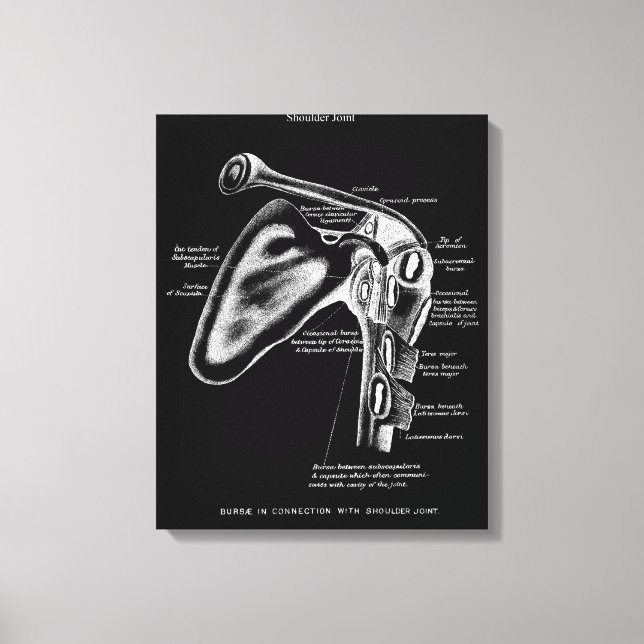 Decoración de la pared médica de anatomía de la ar (Anverso)