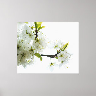 Decoración de las flores 89
