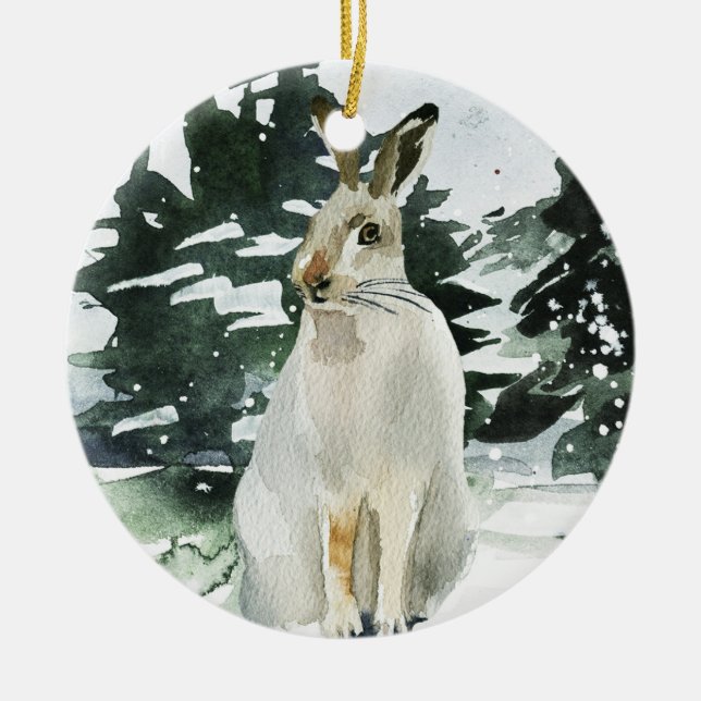 Decoración de las liebres del invierno del (Frente)