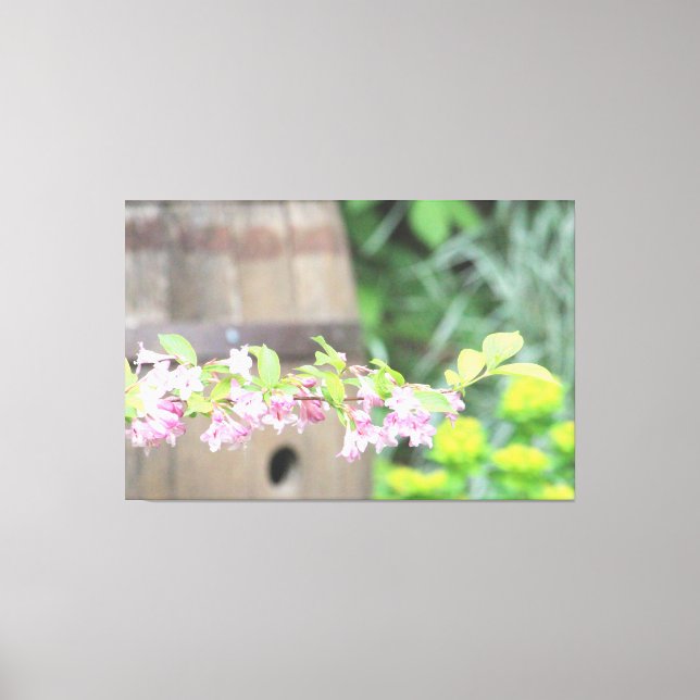 Decoración de las paredes chic de Shabby (Anverso)