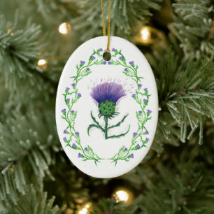 decoración de las tierras de costillas de caracol