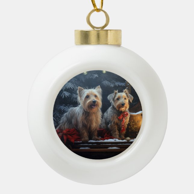 Decoración de los Navidades australianos del Terri (Anverso)