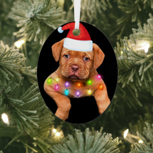 decoración de navidades del dogue de bordeaux para