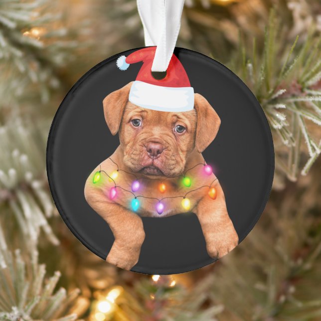 decoración de navidades del dogue de bordeaux para (Árbol)