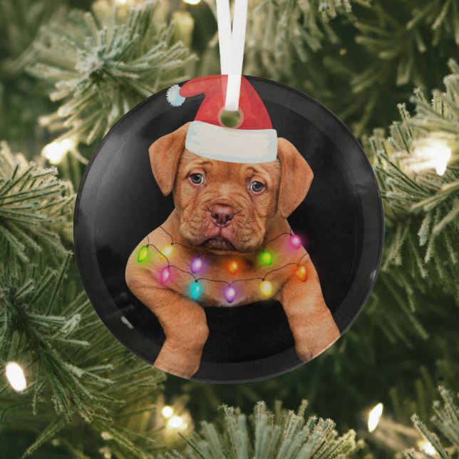 decoración de navidades del dogue de bordeaux para (in situ)