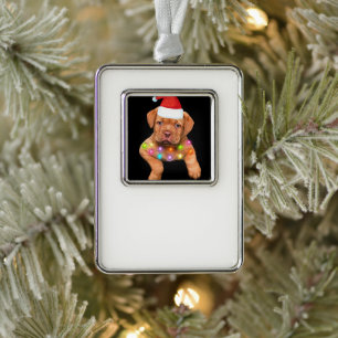 decoración de navidades del dogue de bordeaux para