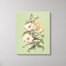 decoración de oficina de Hibisco Espléndido vintag