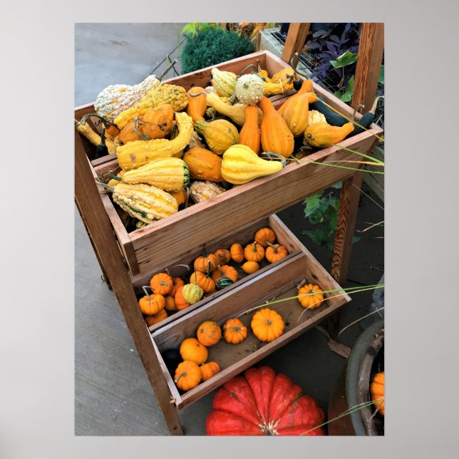 Decoración de otoño (Frente)