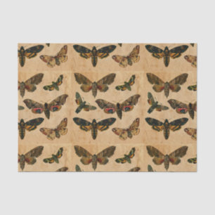 Decoración de papel manchado de mariposas oscuras