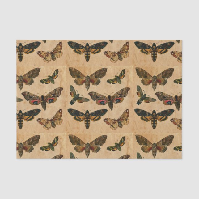 Decoración de papel manchado de mariposas oscuras (Anverso)