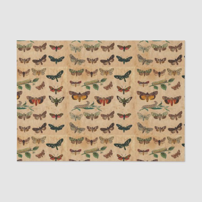 Decoración de papel manchado de mariposas pequeñas (Anverso)