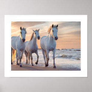 Decoración de pared de caballos