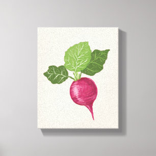 Decoración de pared de cocina con rábano (ilustrac