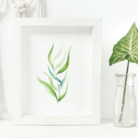 Decoración de pared de la planta de acuarela botán