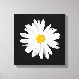 Decoración de pared de tela de Shasta blanco
