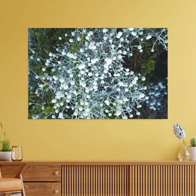 decoración de pared fotográfica (Insitu (Sala de estar))